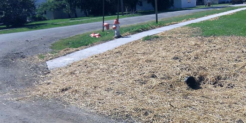 Safe Routes to School Sidewalk Improvements