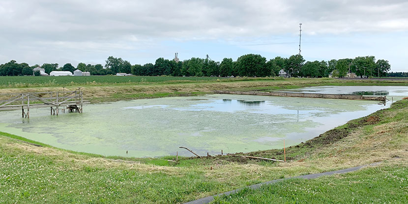 Chapin WWTP Improvements